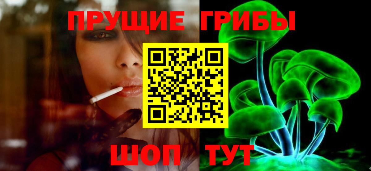 купить закладку  Вход с VPN  Черкесск  Псилоцибиновые грибы MAGIC MUSHROOMS 